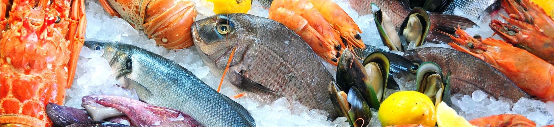 Fish & Seafood
